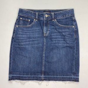 DH3 Jean Skirt, 6                          ABA-310
